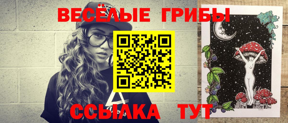 Галлюциногенные грибы Magic Shrooms  Псилоцибиновые грибы Psilocybine cubensis  Гудермес  Вход с VPN 