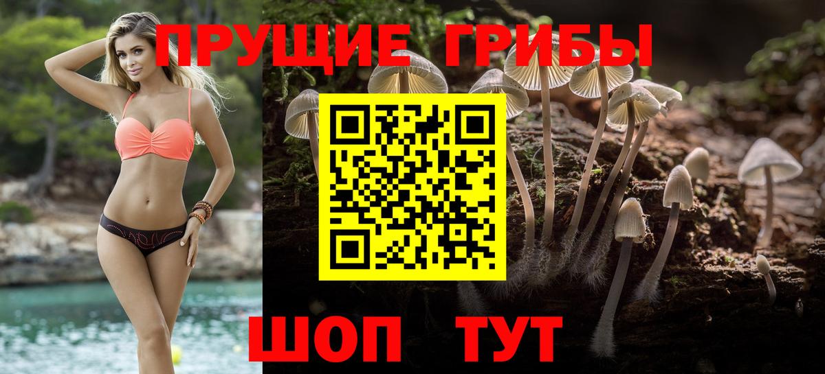 Галлюциногенные грибы Cubensis Гудермес